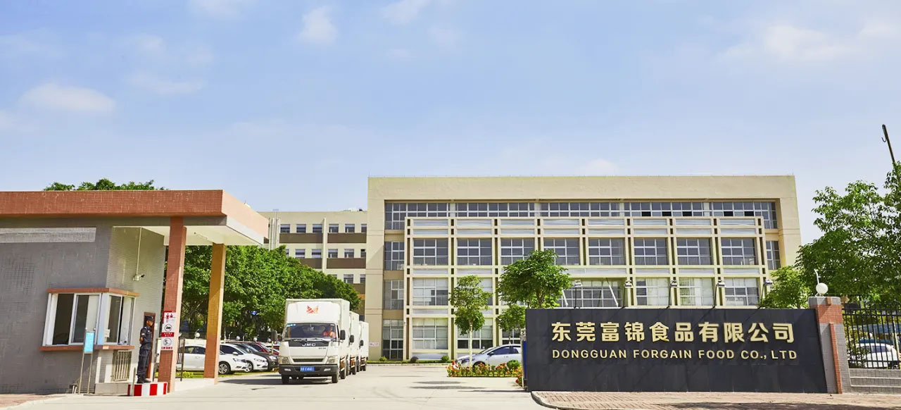 公司簡介